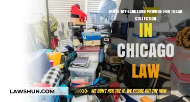 Chicago Landlord Responsibilities: Does Trash Collection Fall Under Their Duties?
