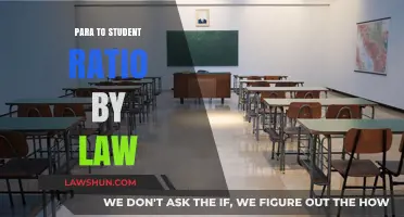 Legal Standards for Para to Student Ratios in Education