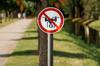 rules