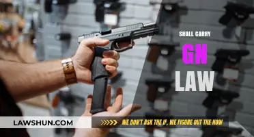 Understanding Shall-Carry Gun Laws: Rights, Responsibilities, and Legal Implications