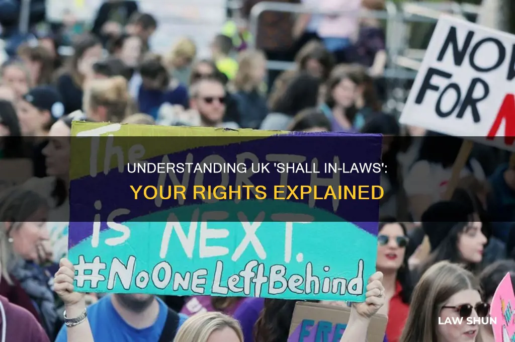 shall in laws uk