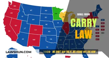 Shall Issue Carry Laws: Balancing Rights, Safety, and Public Concerns