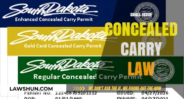 Shall Issue Concealed Carry Laws: Balancing Rights, Safety, and Responsibility