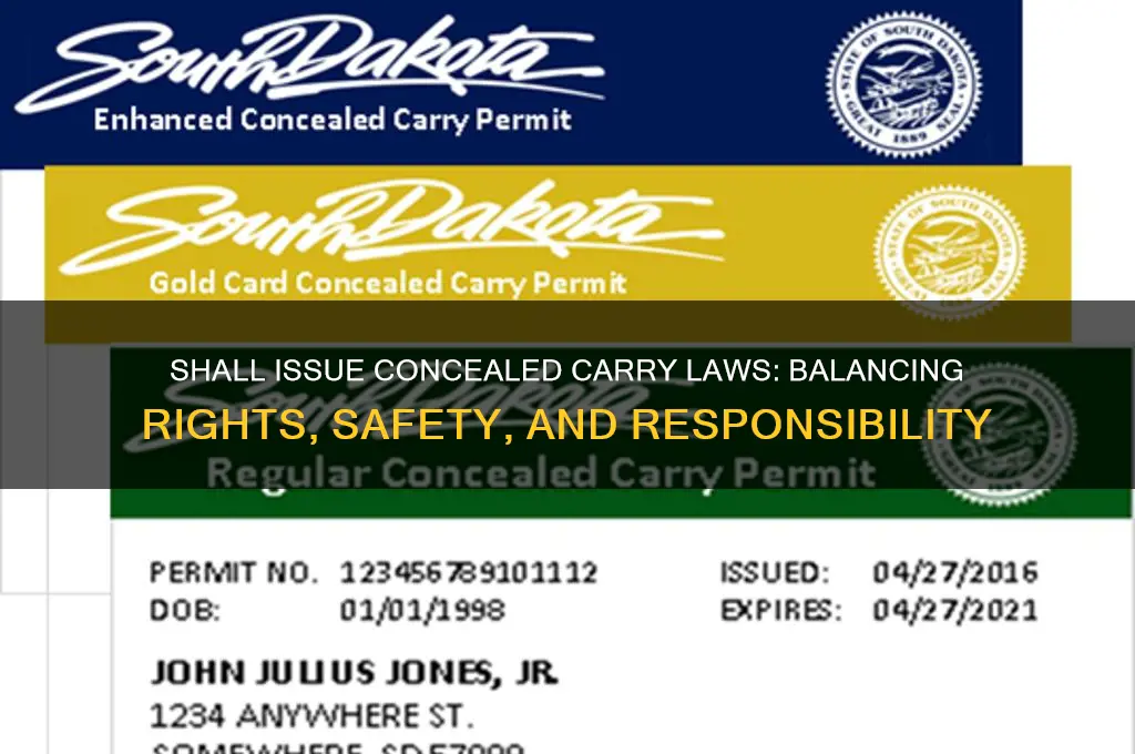 shall issue concealed carry law