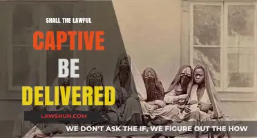 Shall the Lawful Captive Be Delivered: A Moral and Legal Dilemma