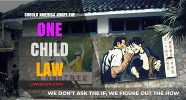 One Child Policy: A Viable Solution for America's Future?