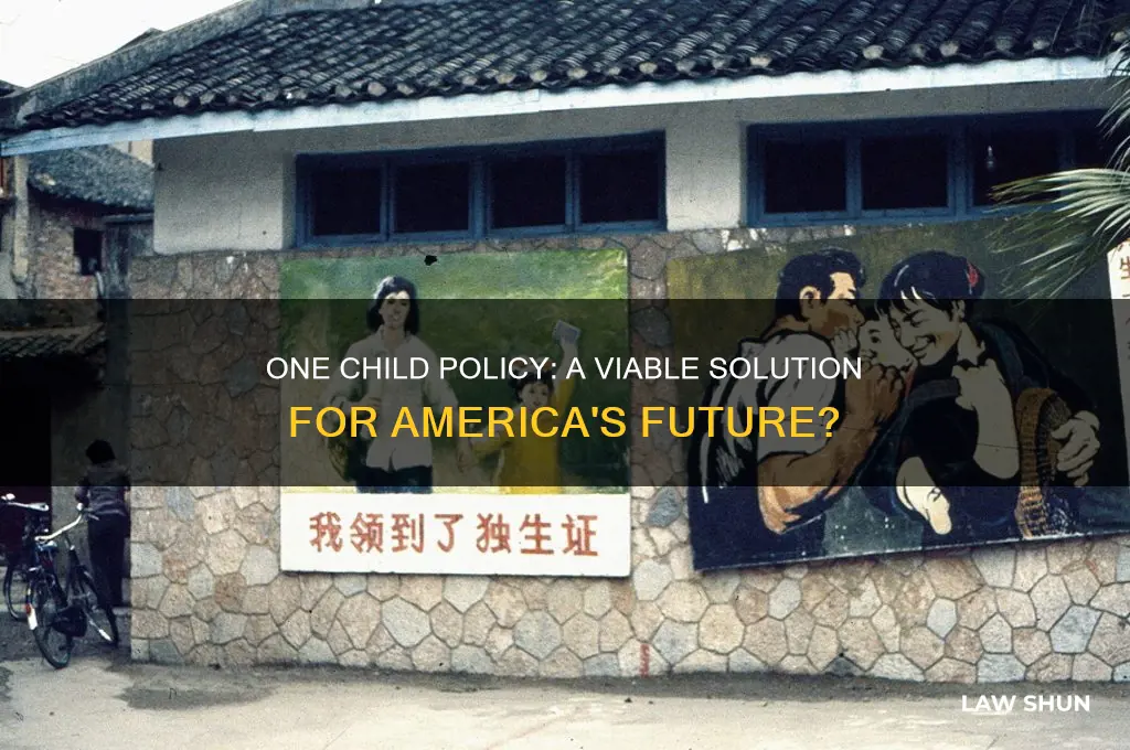 should america adopt the one child law