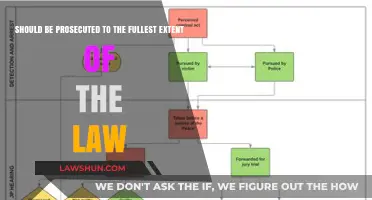 Justice Demands Full Prosecution: Upholding the Law Without Exception
