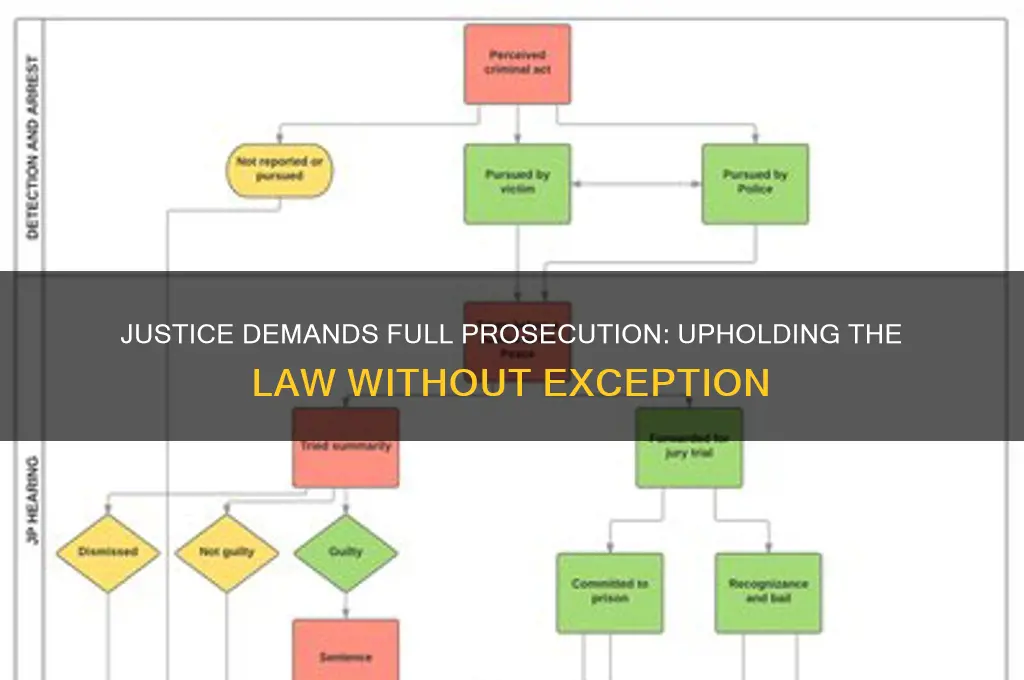 should be prosecuted to the fullest extent of the law