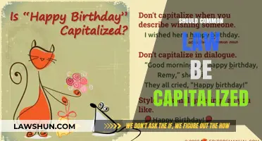 When to Capitalize Common Law: A Guide