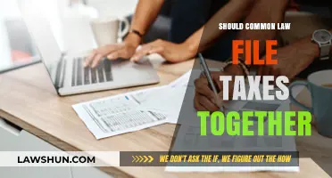 Common-Law Couples: Filing Taxes Jointly or Separately?