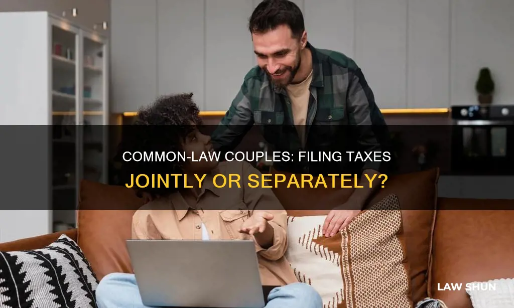 should common law file taxes together