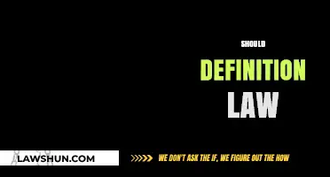 Should Definition Law: Balancing Clarity, Fairness, and Societal Needs