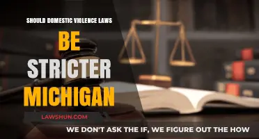 Stricter Domestic Violence Laws in Michigan: Necessary Reform or Overreach?