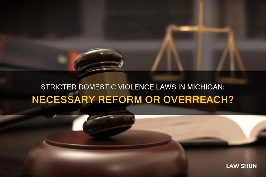 should domestic violence laws be stricter michigan