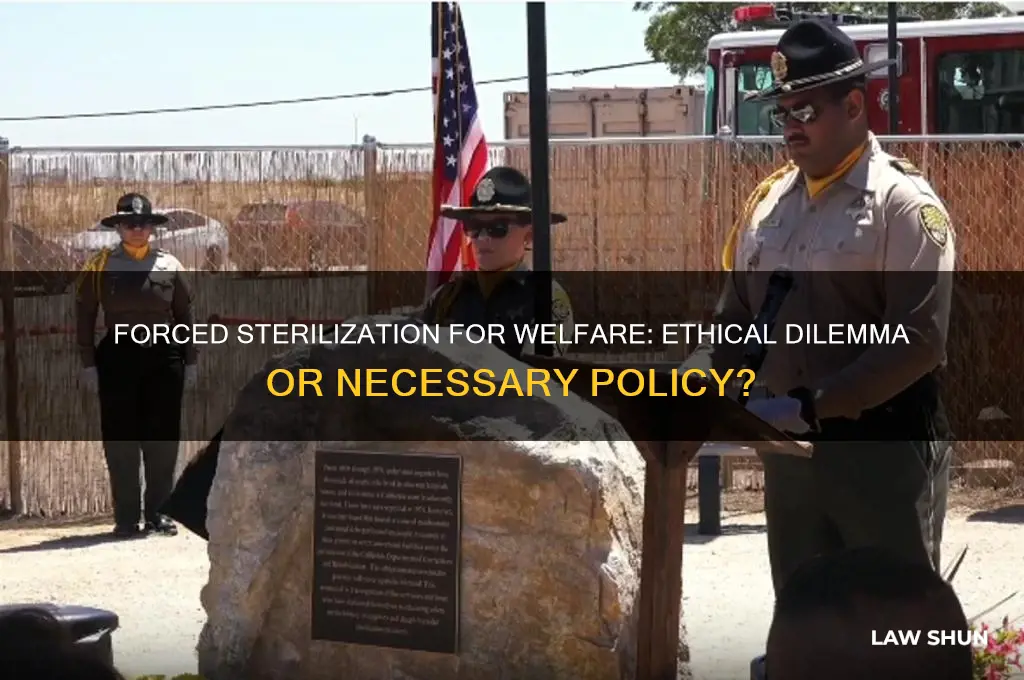 should forced sterilization of women on welfare be a law