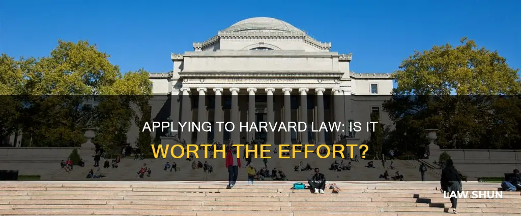 should i apply to harvard law