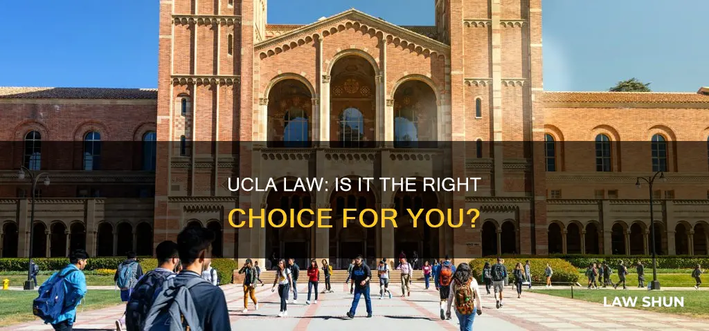 should i apply to ucla law