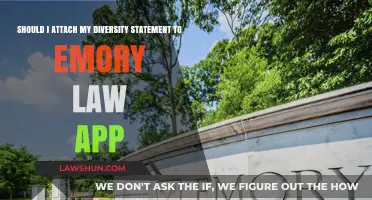 Should You Attach a Diversity Statement to Your Emory Law Application?