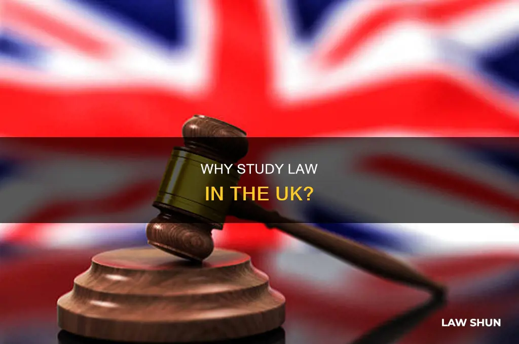 should i do law uk