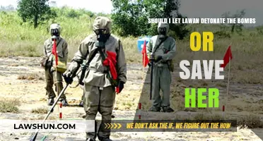 To Save Lawan or Stop the Bombs: A Moral Dilemma