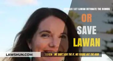 To Save Lawan or Stop the Bombs: A Moral Dilemma