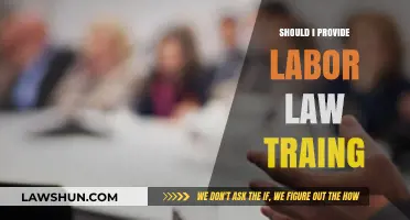 Should You Offer Labor Law Training? Benefits and Best Practices