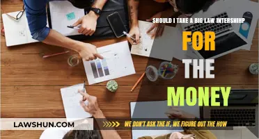 Big Law Internship: Pursuing Money or Passion? Weighing Pros and Cons