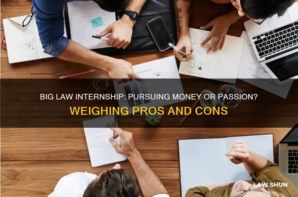 should i take a big law intersnihp for the money
