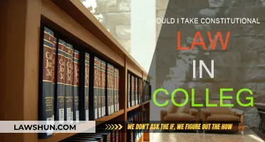 Constitutional Law: Is It Right for You?