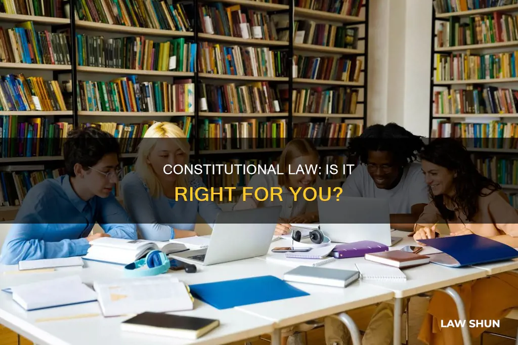 should i take constitutional law in college