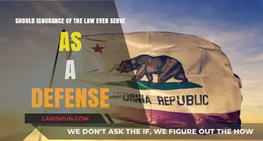 Ignorance of the Law: A Valid Defense or Legal Loophole?