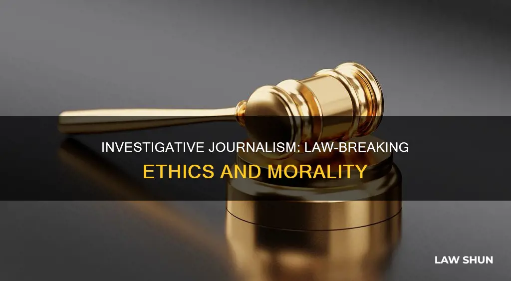 should investigative journalists be allowed to break the law