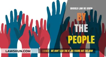 Should People Shape the Law? Exploring Direct Democracy's Role in Governance