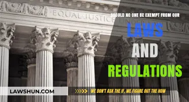 Equal Justice for All: Why No One Should Be Above the Law