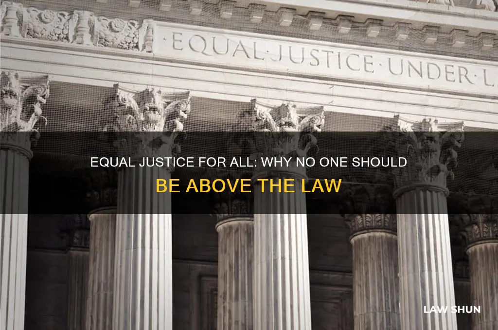 should no one be exempt from our laws and regulations
