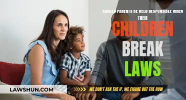 Whose Fault Is It When Children Break Laws?