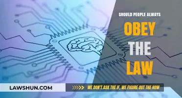 Obeying the Law: Moral Duty or Selective Responsibility?