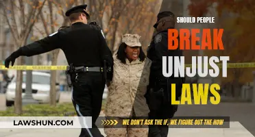 Civil Disobedience: Breaking Unjust Laws, Right or Wrong?