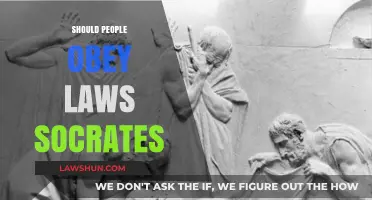 Obeying Laws: Socrates' Perspective on Justice and Civil Duty
