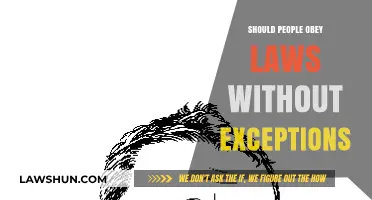Obeying Laws Unconditionally: Ethical Duty or Flawed Societal Expectation?