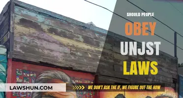 Obeying Unjust Laws: Moral Dilemma or Civic Responsibility?