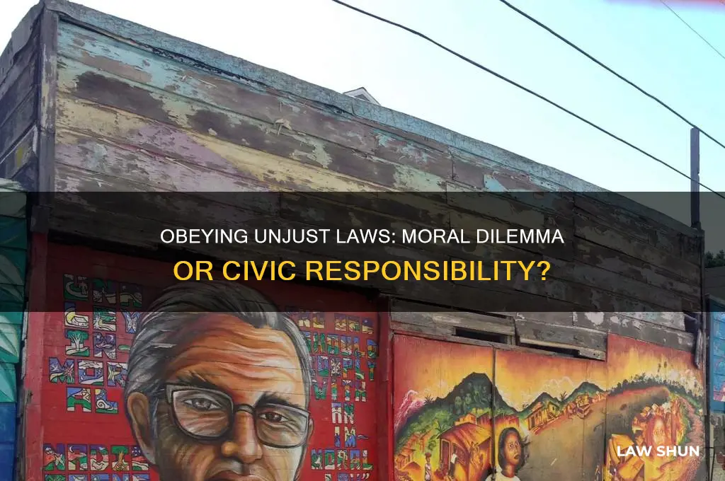 should people obey unjst laws