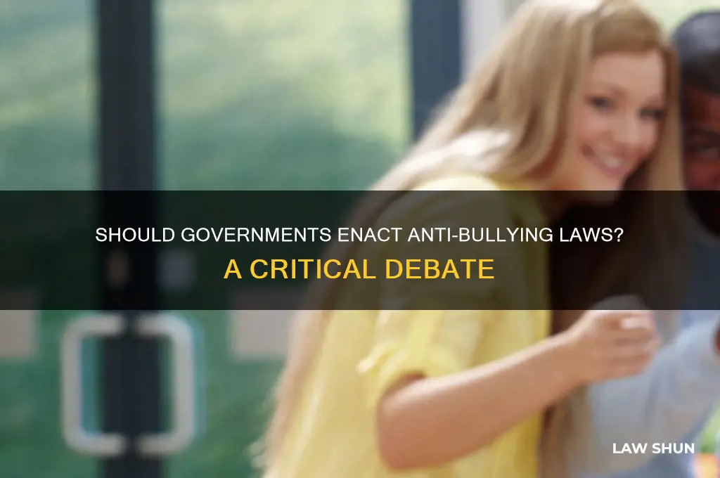 should the govefrnment put anti bullying laws in place