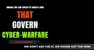The Law's Role in Cyber-Warfare: Evolution Needed?