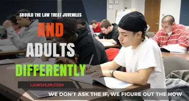 Juvenile Justice: Should Minors Get Lenient Treatment?