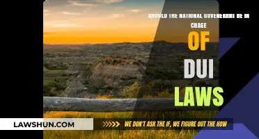Should the National Government Control DUI Laws? Pros and Cons