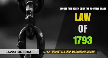 Should the North Comply with the 1793 Fugitive Slave Law?