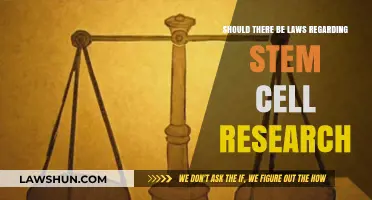 Balancing Ethics and Innovation: Should Stem Cell Research Be Legally Regulated?