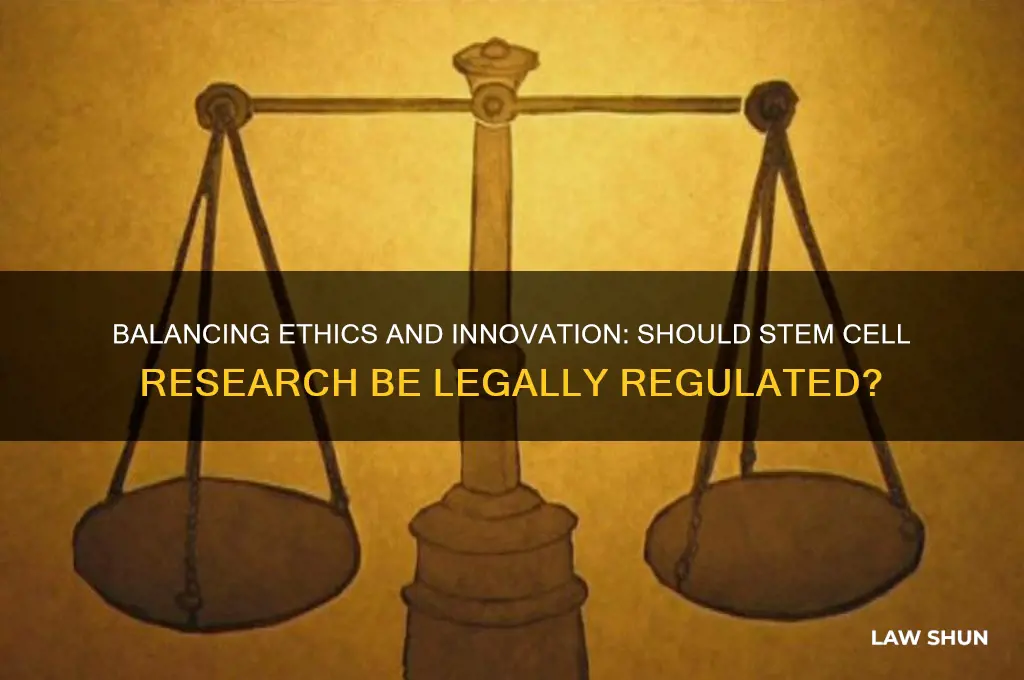 should there be laws regarding stem cell research